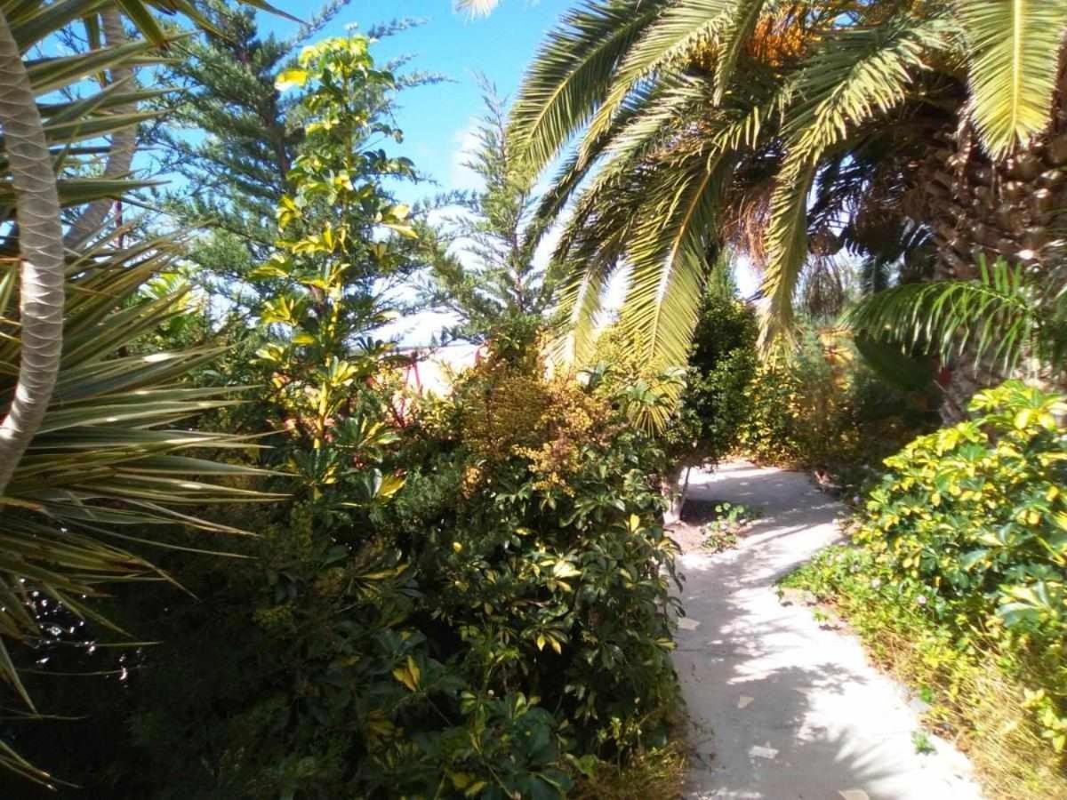 Vivienda Vacacional Finca Jorsam Con Piscina Tazacorte Dış mekan fotoğraf