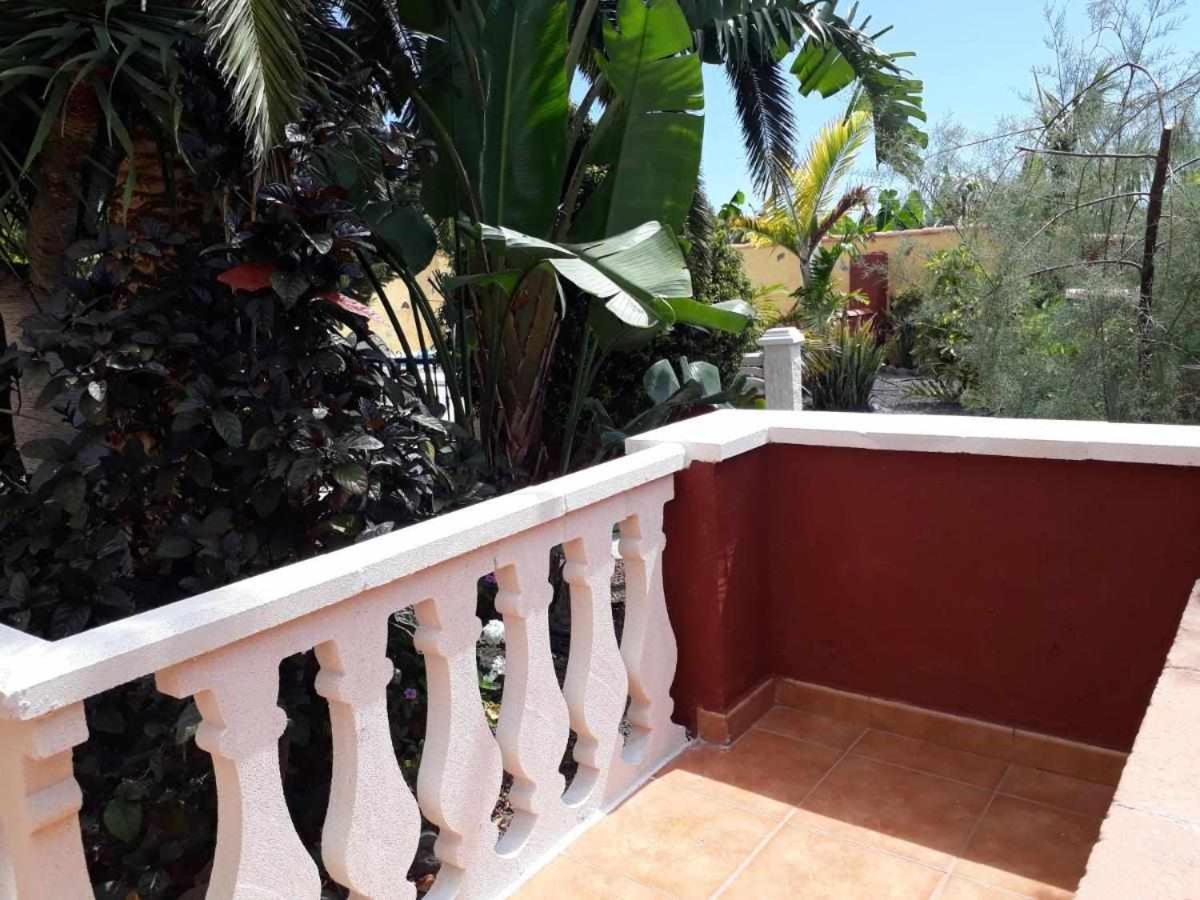 Vivienda Vacacional Finca Jorsam Con Piscina Tazacorte Dış mekan fotoğraf