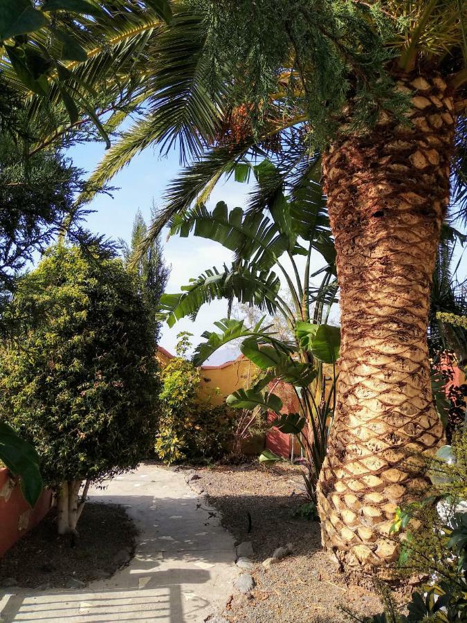 Vivienda Vacacional Finca Jorsam Con Piscina Tazacorte Dış mekan fotoğraf